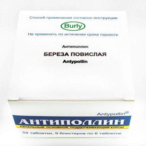 Береза повислая